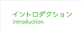 イントロダクションページ